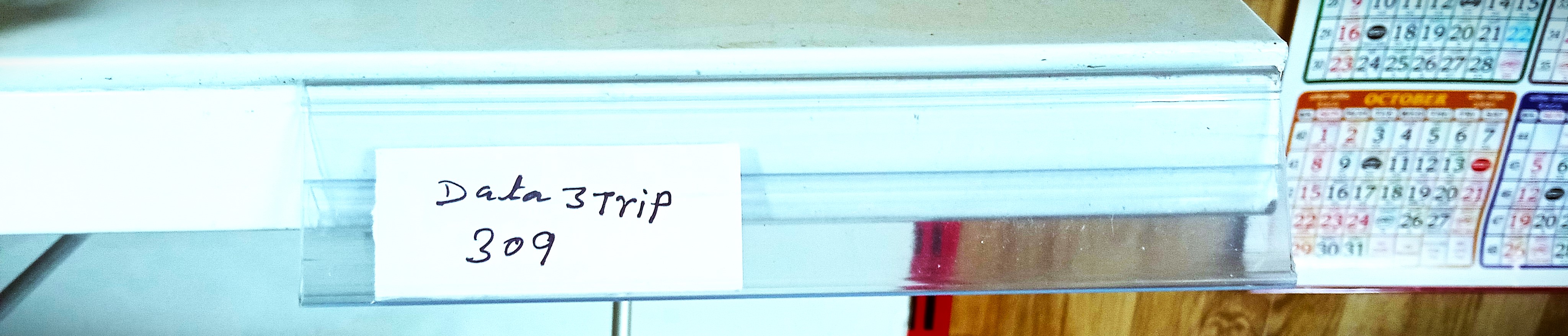 DATA STRIP 309